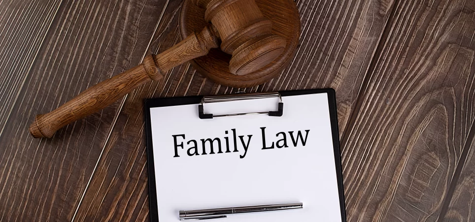 Family Law Lawsuits-img